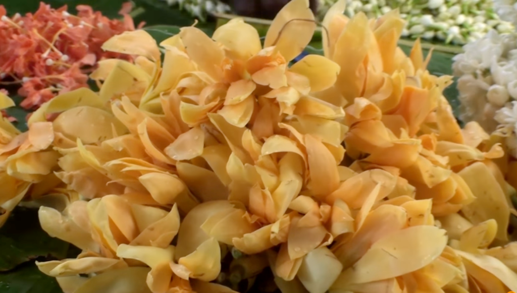 basket of petals memoirs