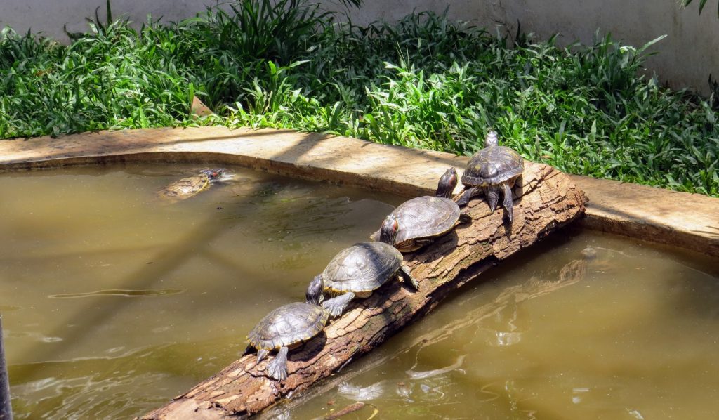 Nostalgia on demand CoffeeWithMi