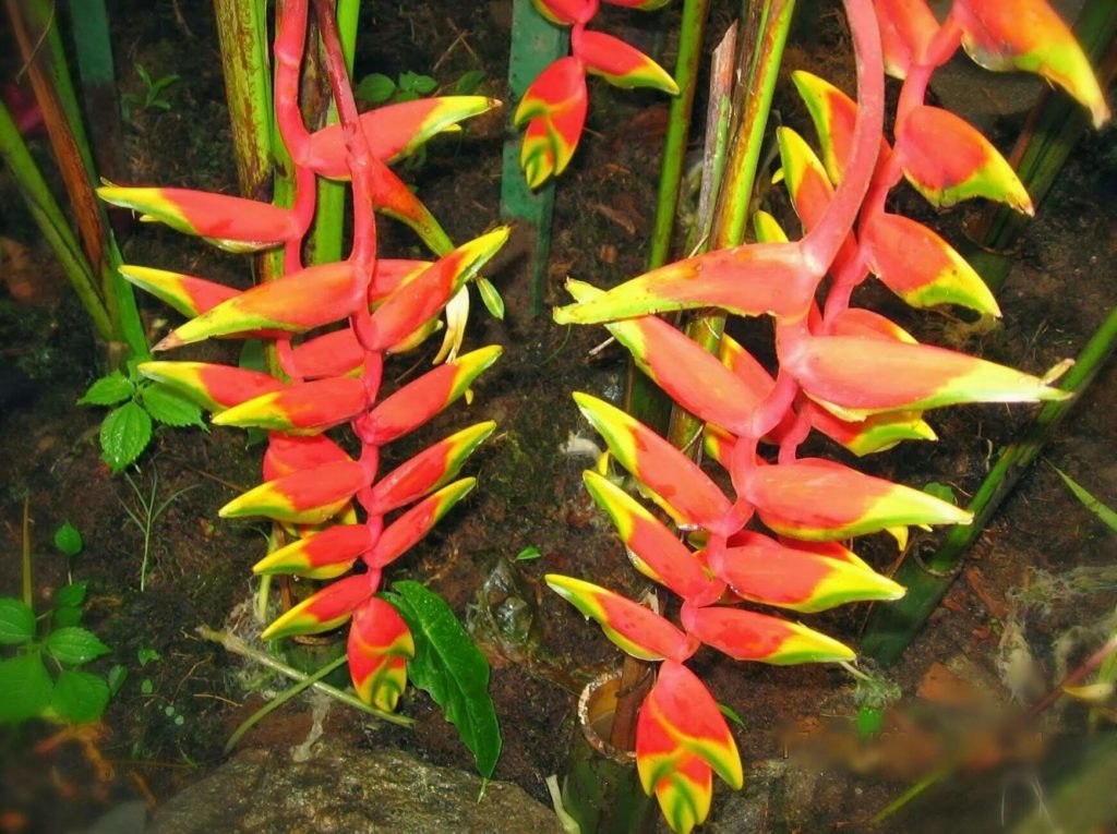 Thens and Nows Coffee With Mi