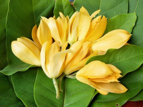 They miss you too! Coffee With Mi